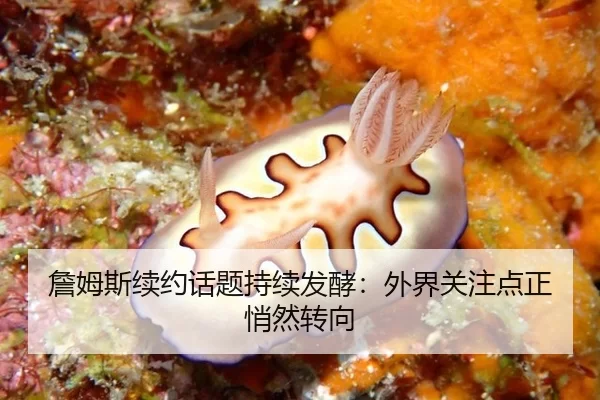 詹姆斯续约话题持续发酵：外界关注点正悄然转向